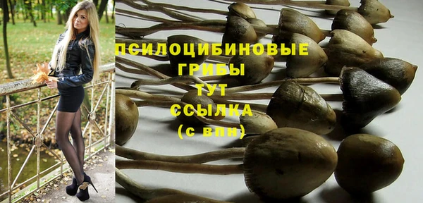 спайс Балабаново