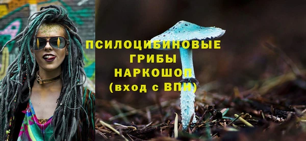 мяу мяу мука Балахна
