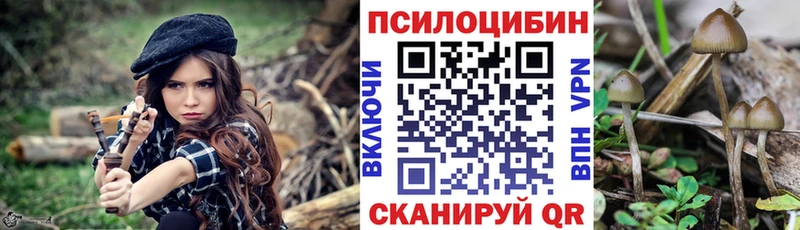 Псилоцибиновые грибы Psilocybe  Гаврилов-Ям 